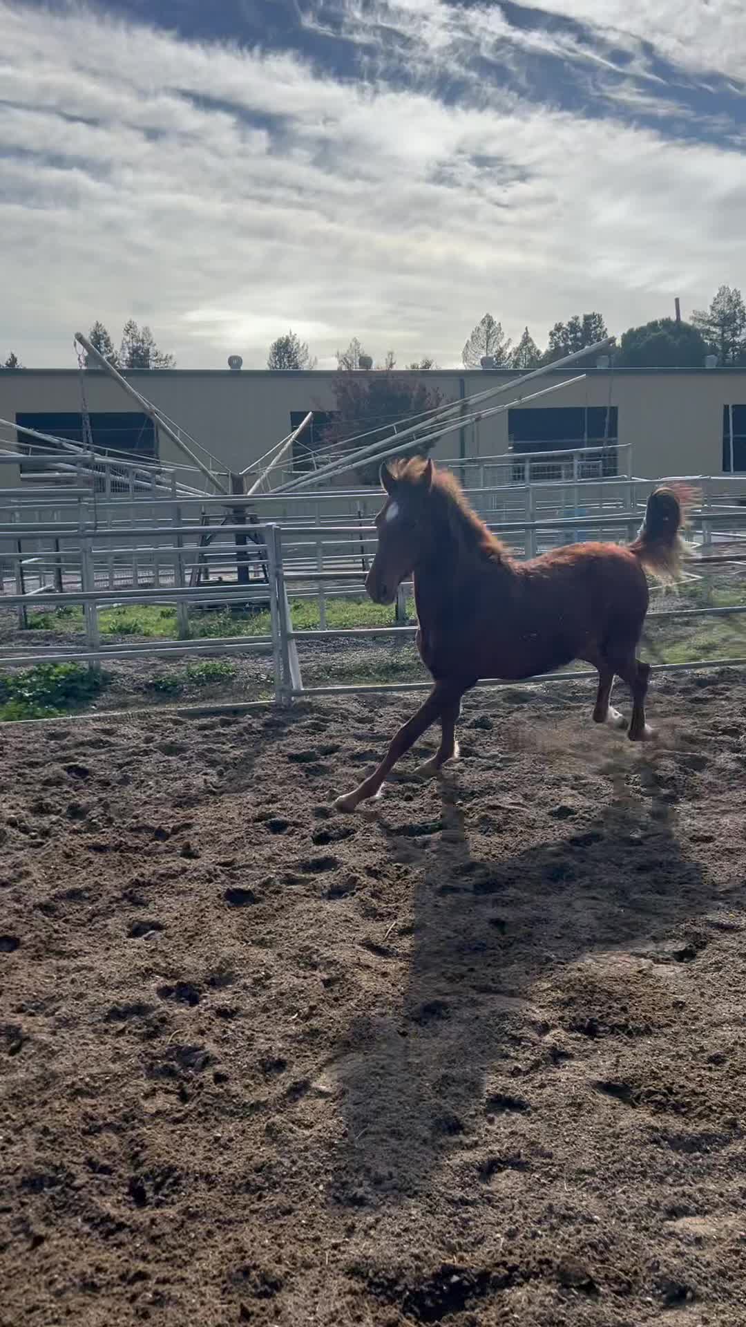 @BoeRanch14