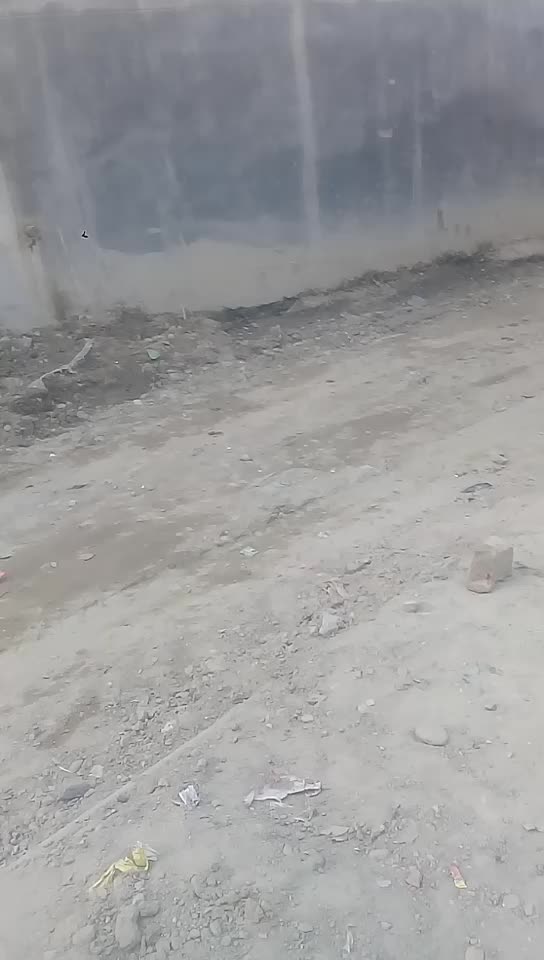 @Tiger Khan