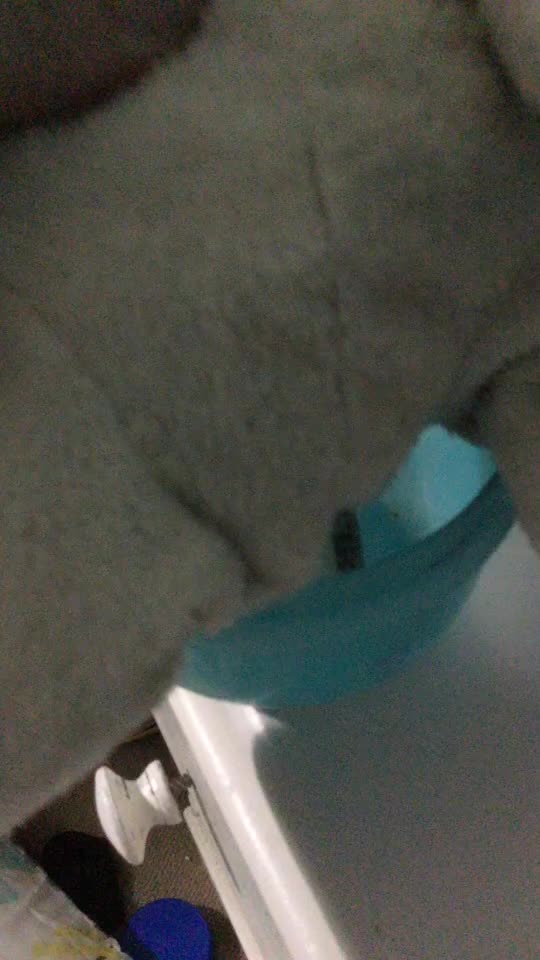 @Plushes/stuffy&rsquo;s