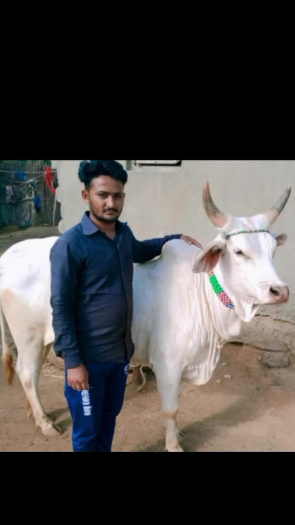@💥team bhati raj ⚡
