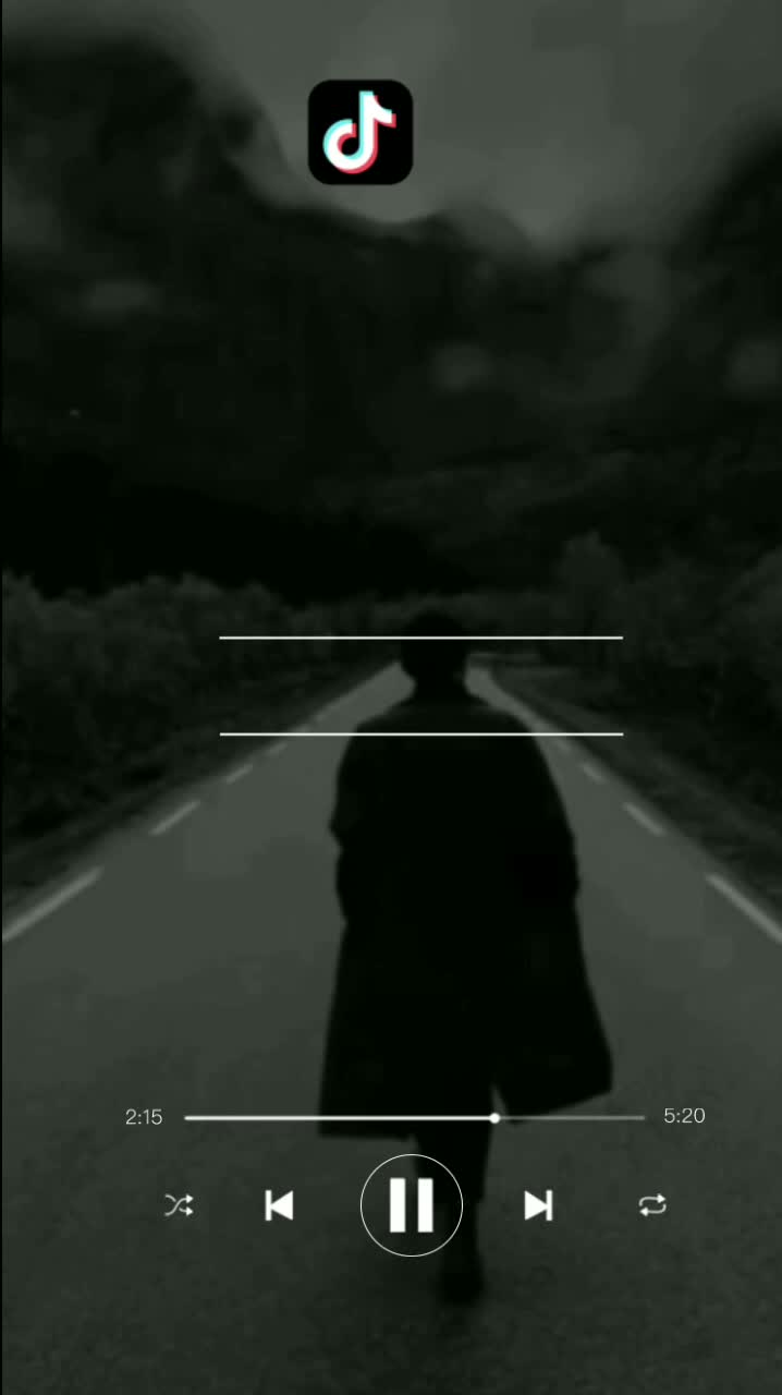 @s_________h(lyrics)