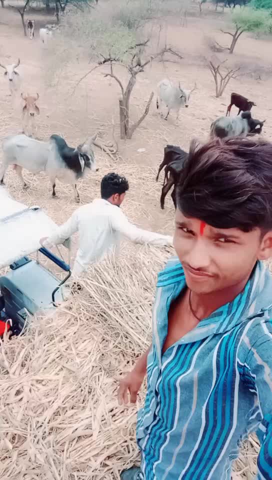 @Bharat Majiyatar42