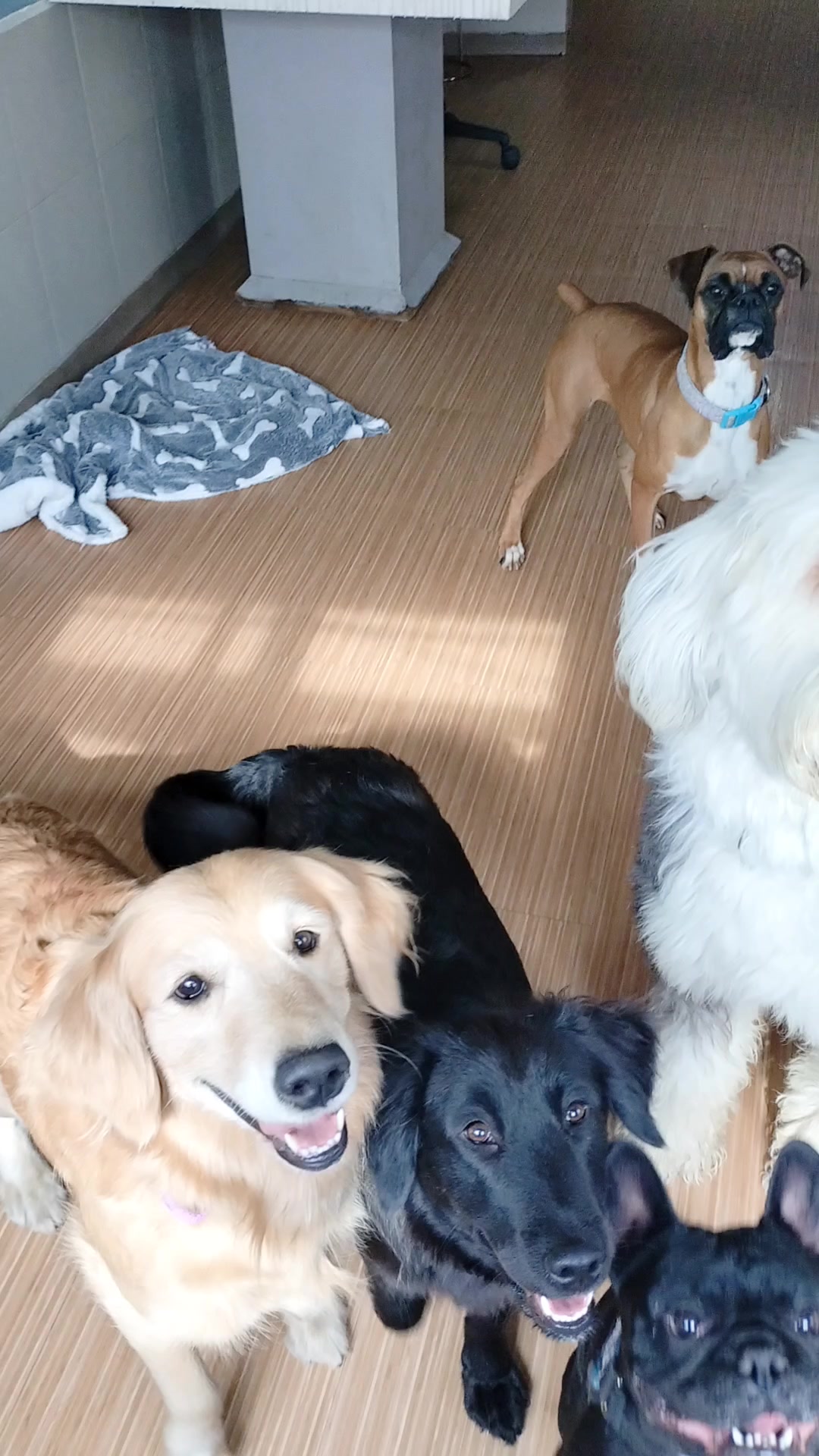 @Canbnb 🐶❤️