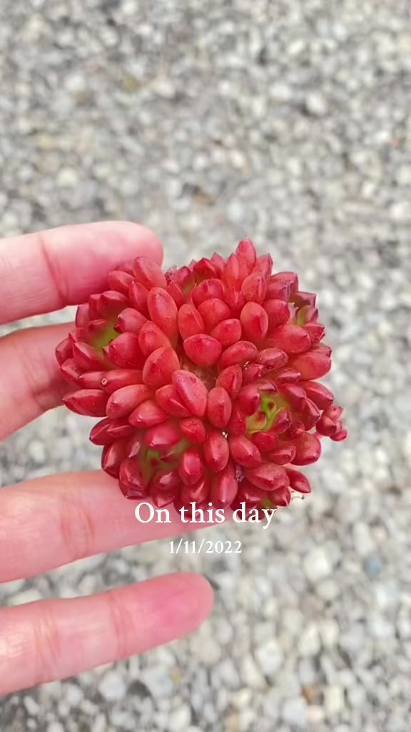 @user67532205281
