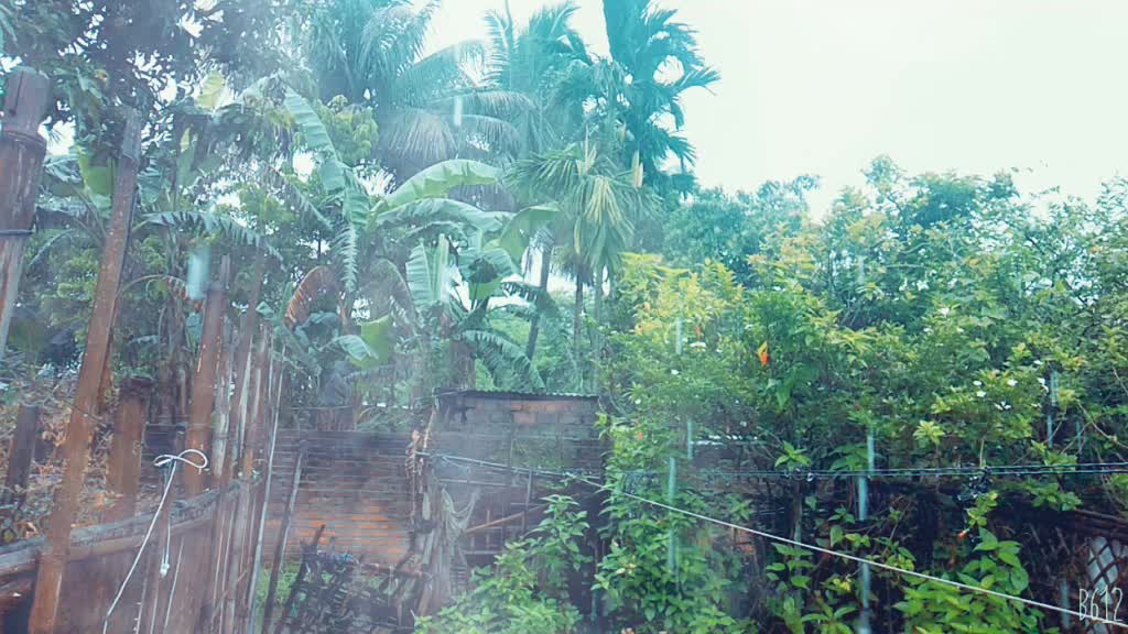 @Sisti Kumari