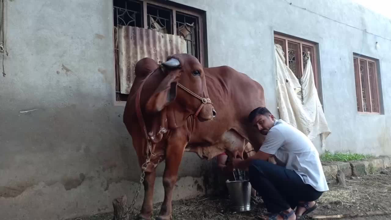 @Hardik8920