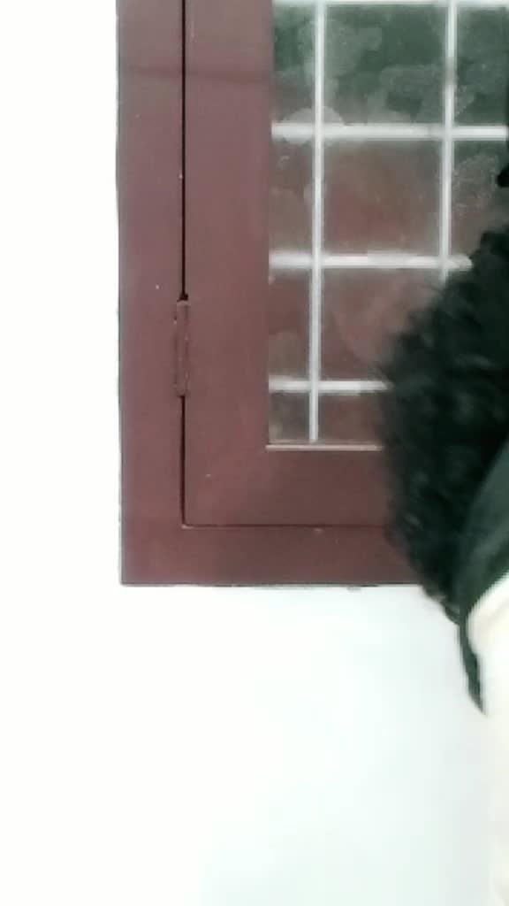 @Maluzz