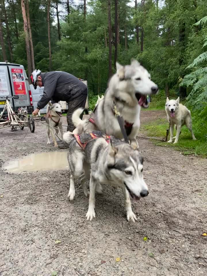 @Coldfeet-Huskies-Kaz