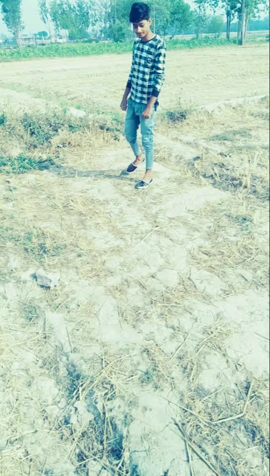 @Ali Salman Asraf
