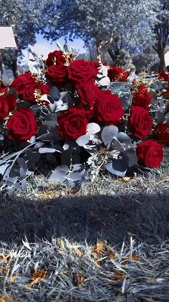 @◦•●◉✿A R Love✿◉●•◦