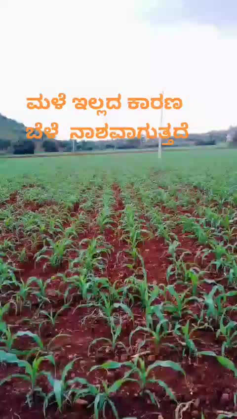 @Pradeep D Pradi