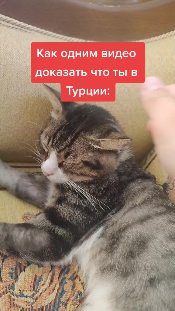 @꧁ꕥ𖠌😻𝓛𝓮𝓿&𝓔𝓶𝓶𝓪𓃠✪ꕥ꧂