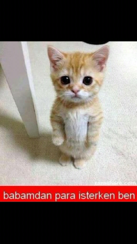 @TikTak