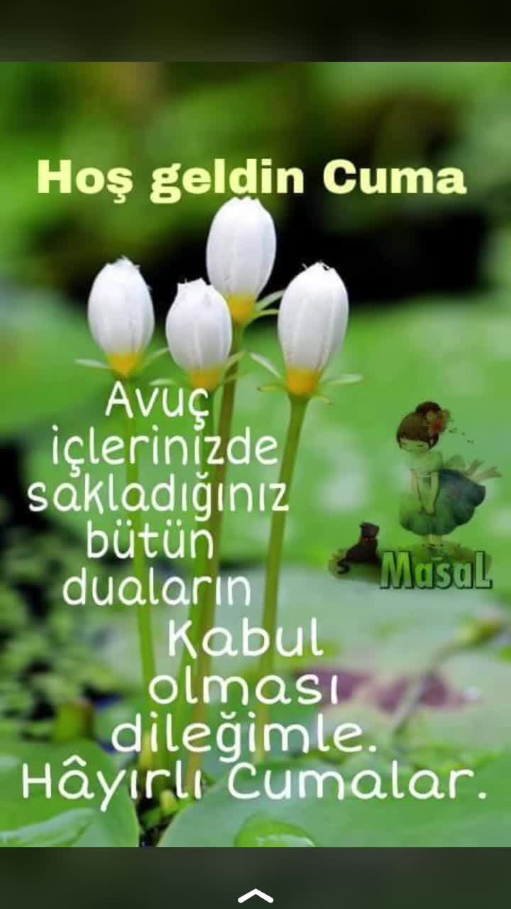 @Suat Kiziltas