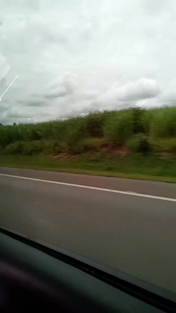 @henrique.almeida