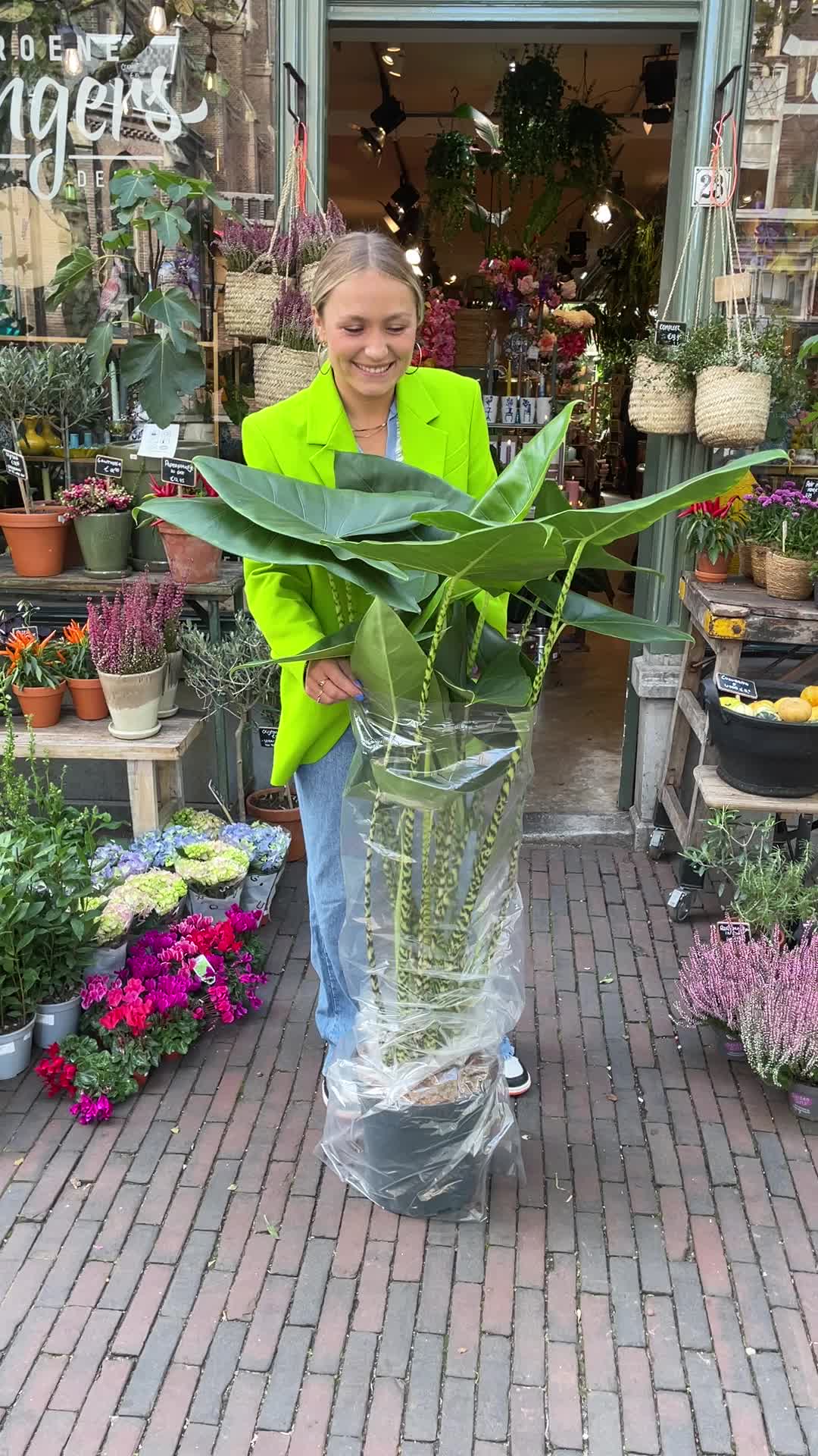 @Groenevingersdelft