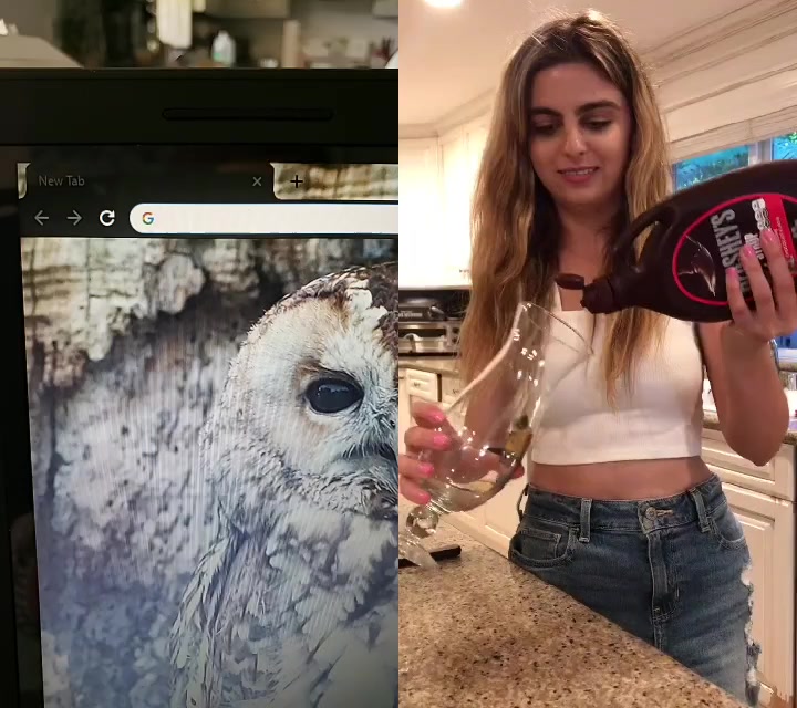 @skittylol