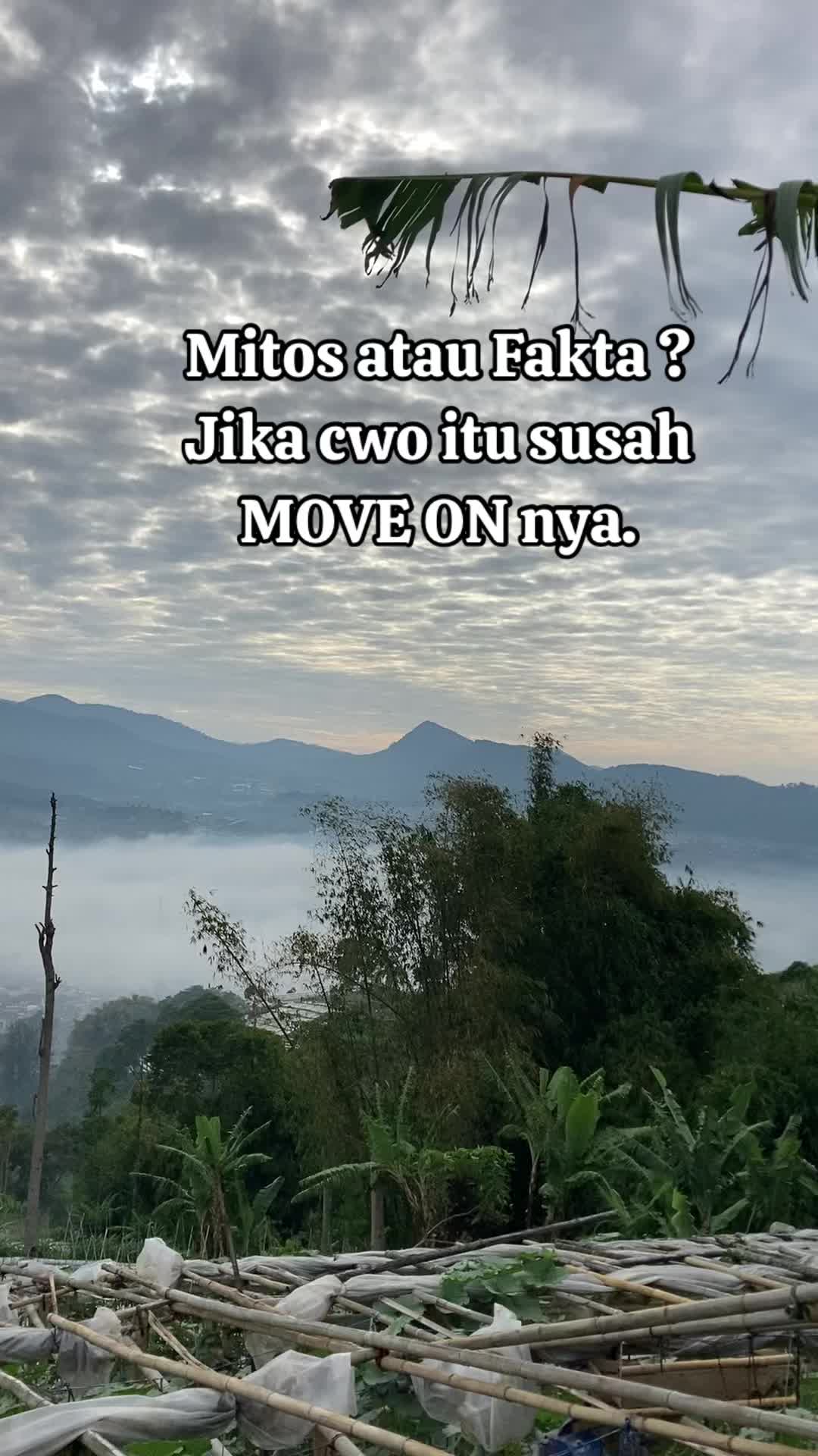 @Pena Bijak