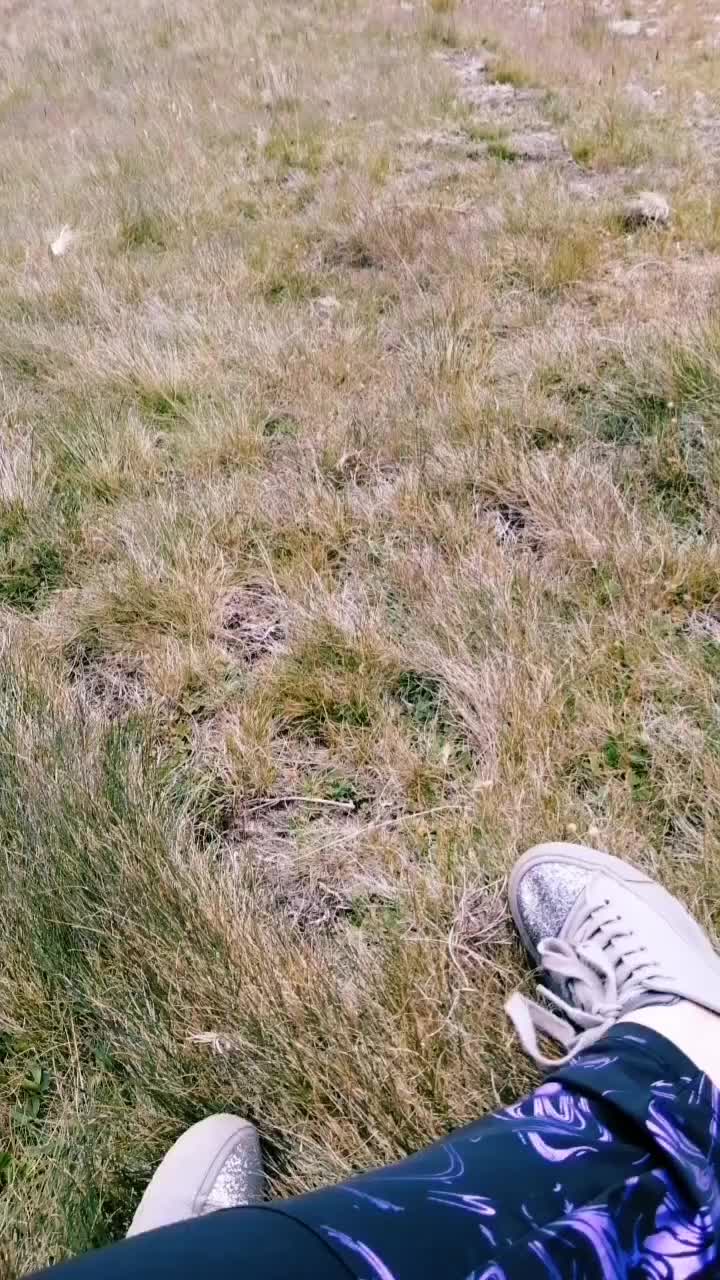 @AlexaMel