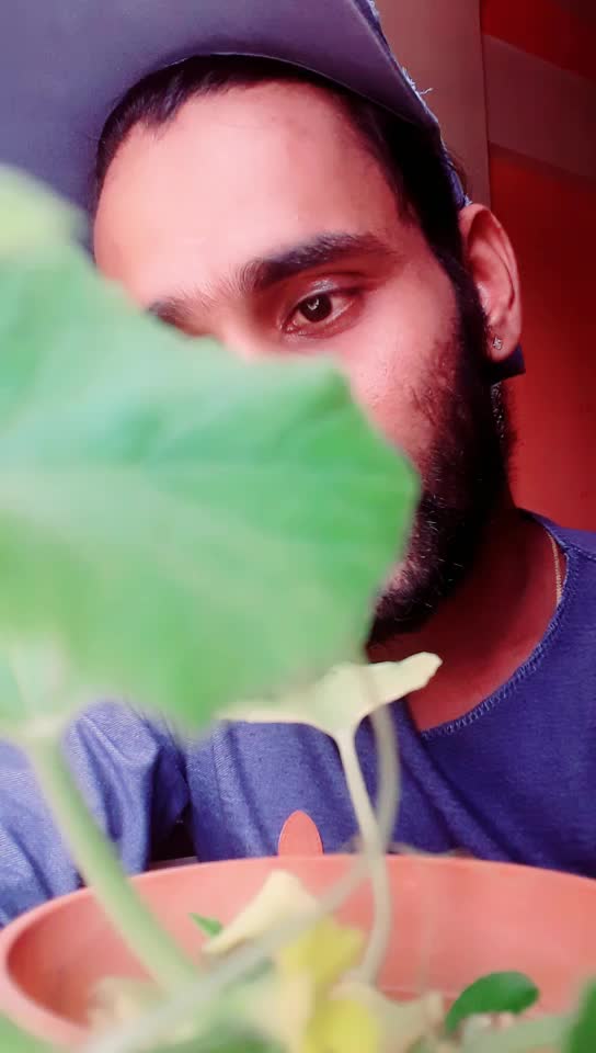 @Pramod Kadam207