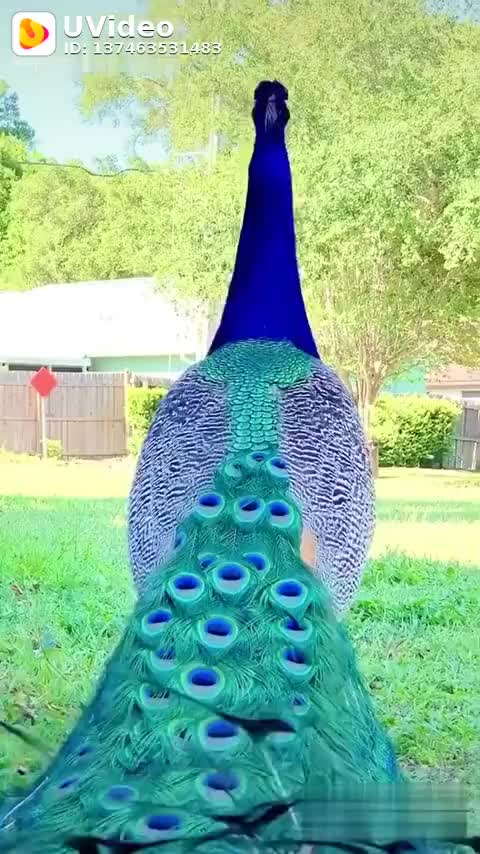 @user5777420361824