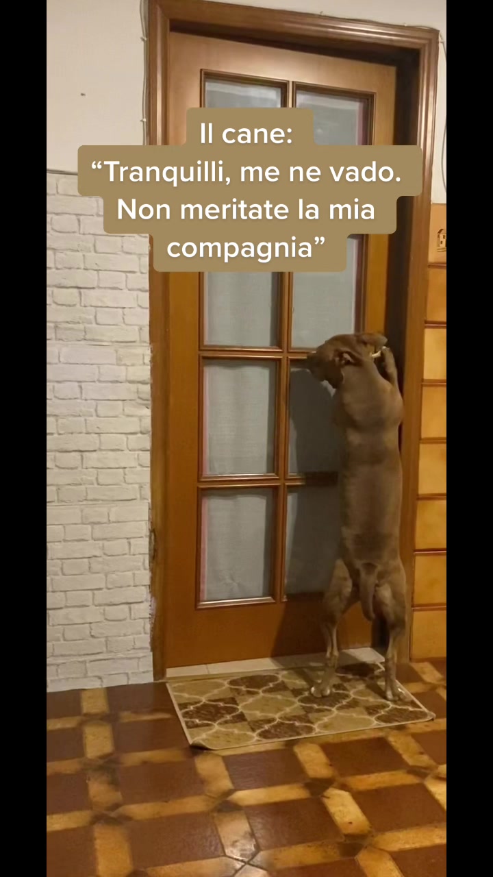 @Dea 🐾