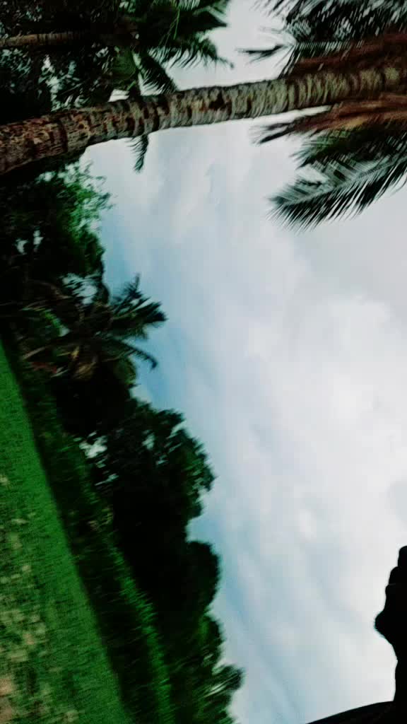 @raja gowad