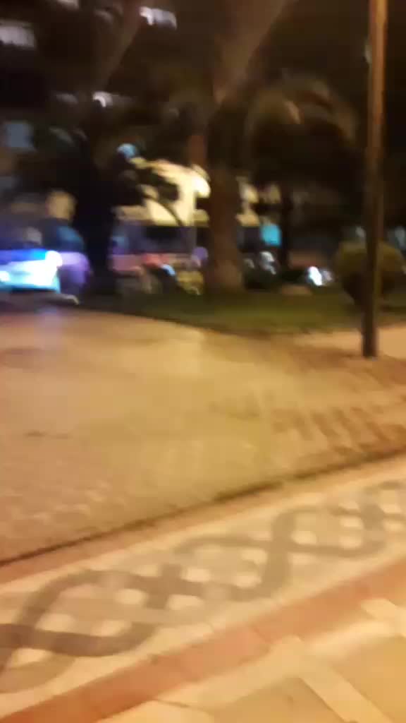 @Ayşe Güler