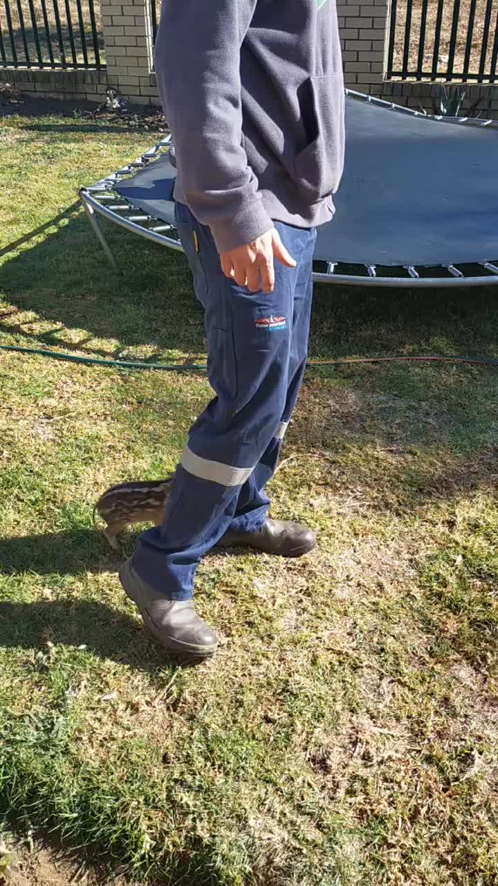 @Stefan Potgieter478