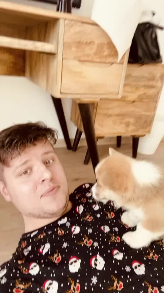@jasminkathecorgi