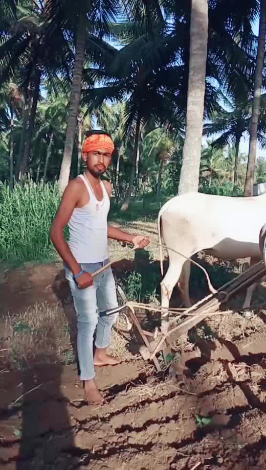 @user3596936326854