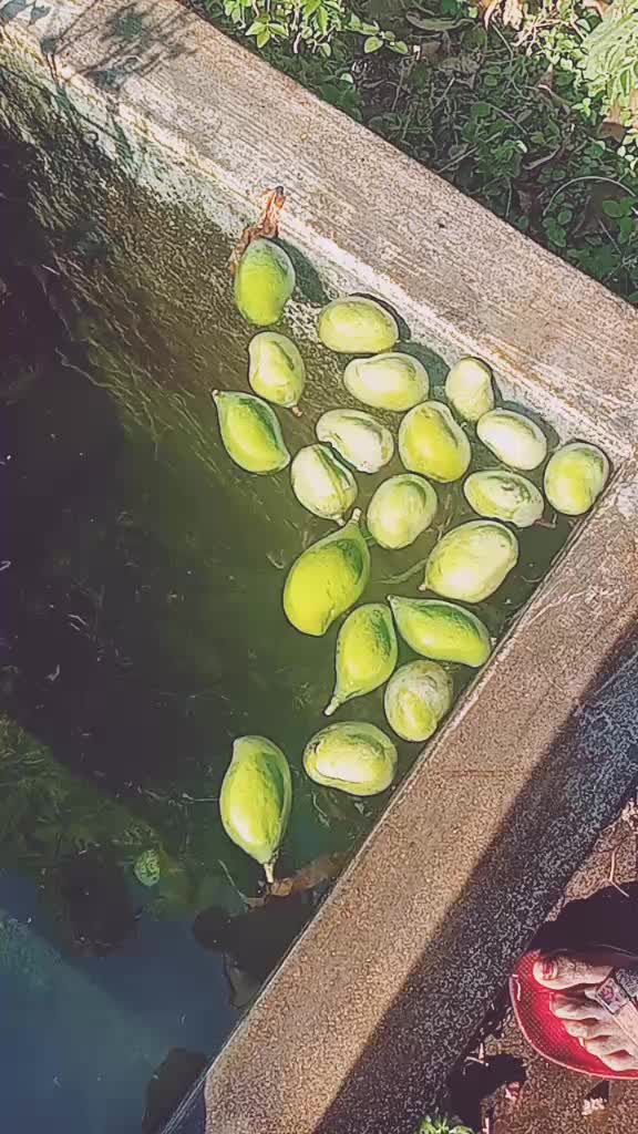 @kalyan