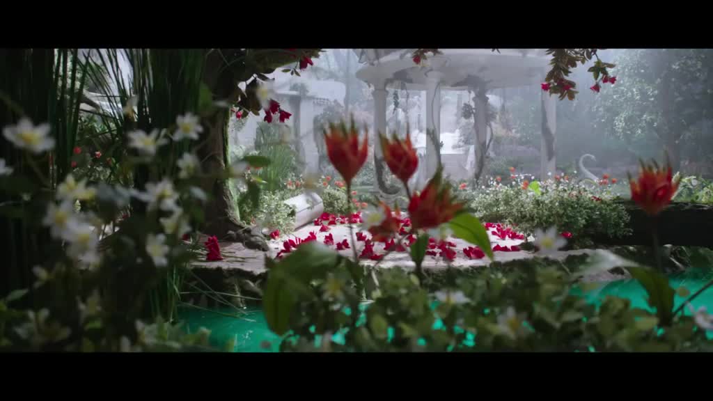 @Sujit Barman