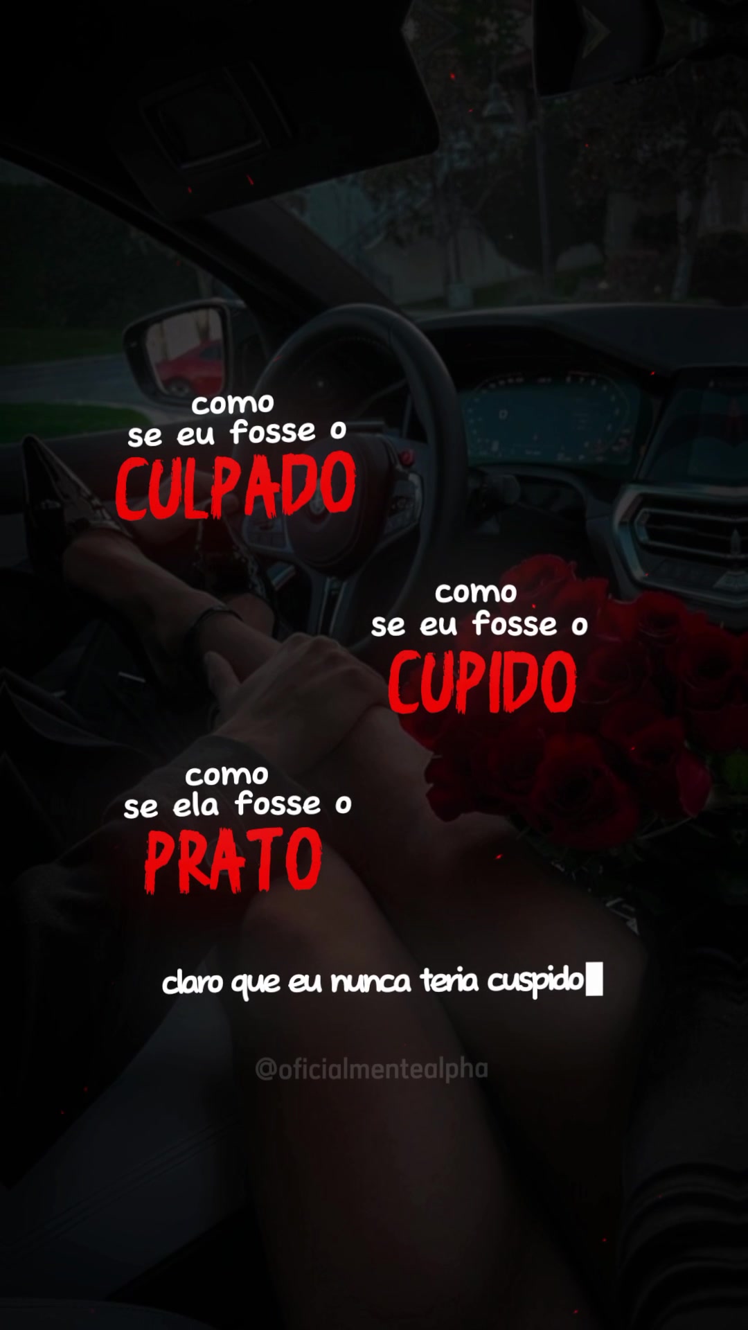 @OFICIALMENTE ALPHA