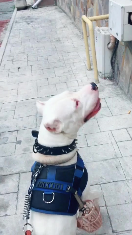 @Ömer Sarı