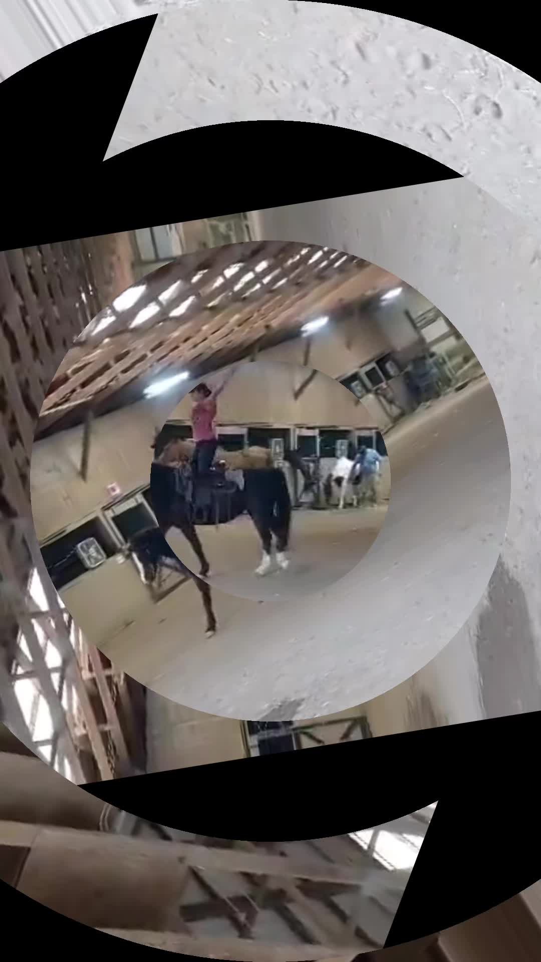 @Rosa Pineda