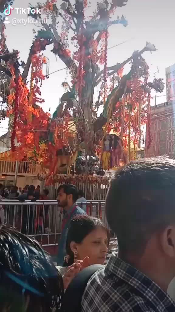 @cutegori