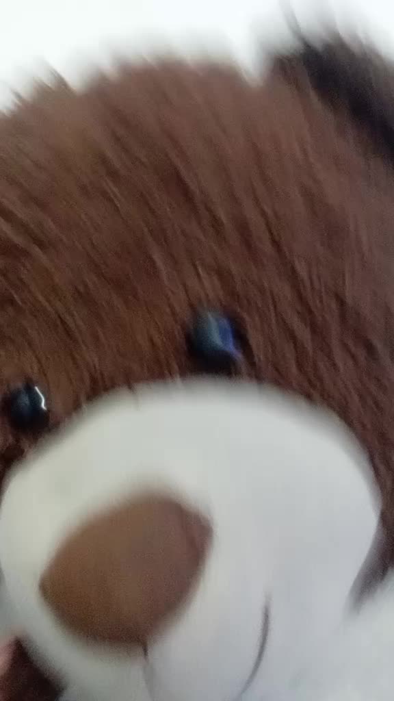 @SRCHICHOLUIS