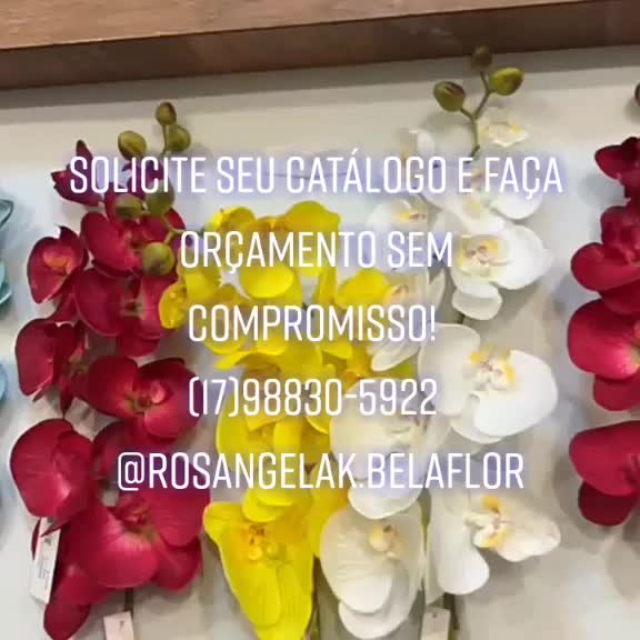 @Ros&acirc;ngela K BelaFlor