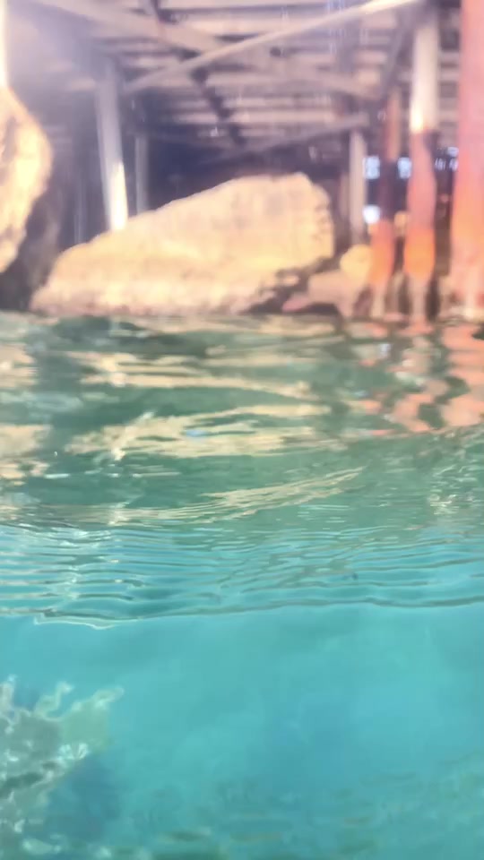 @pani.i