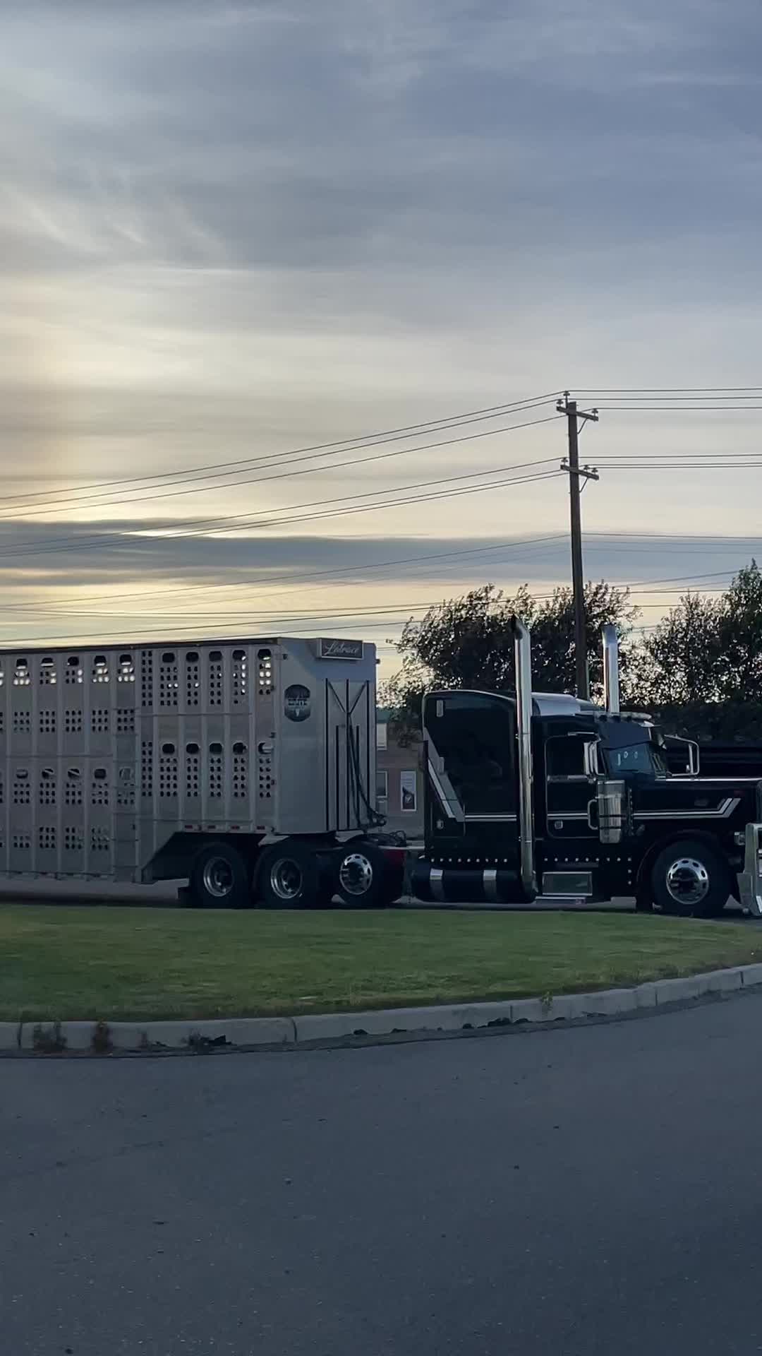 @403_BigRigs