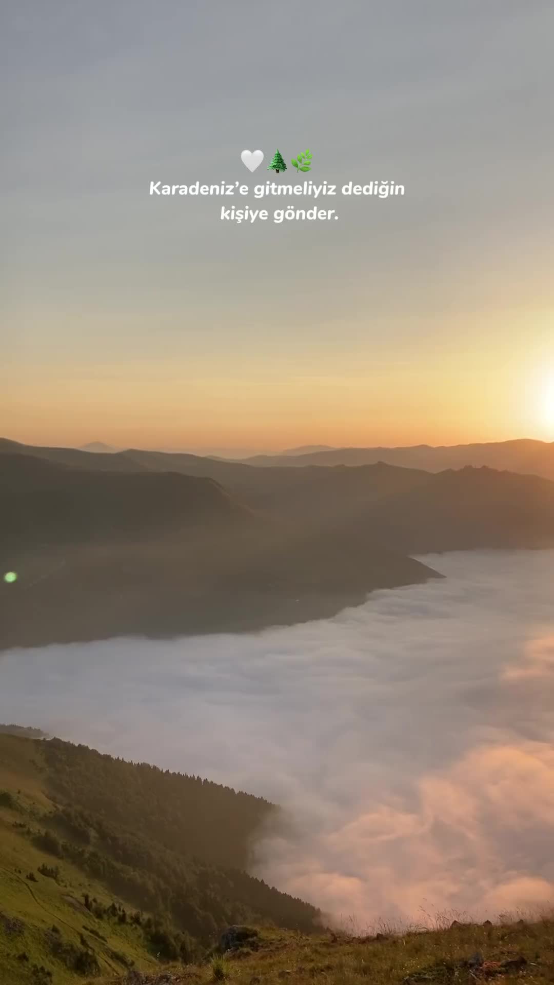 @B°RDO❤️M@Vİ💙