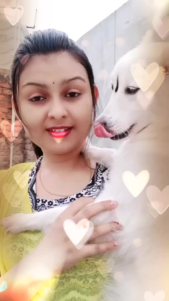 @Priya Raghuvanshi