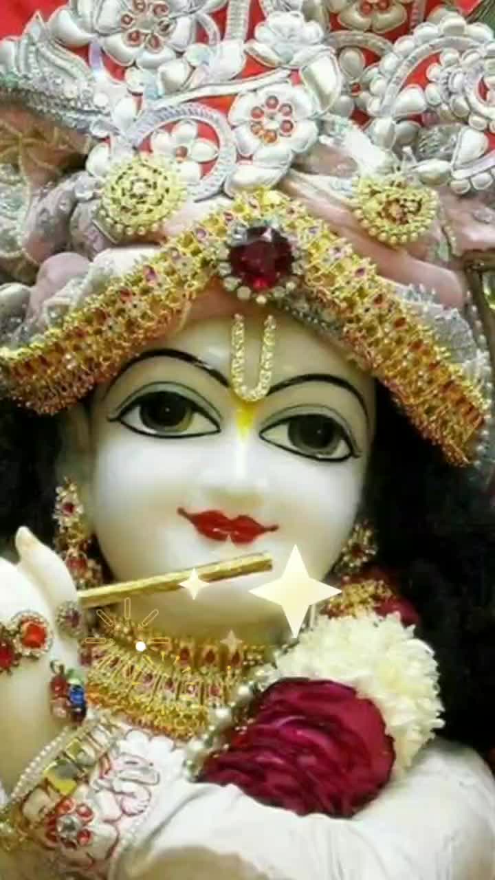@🥀🌹🌺🌻Soni