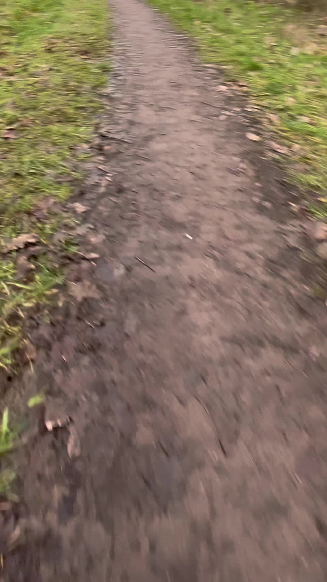 @｡･:*˚:✧｡𝗞𝗜𝗔𝗥𝗘𝗬𝗔