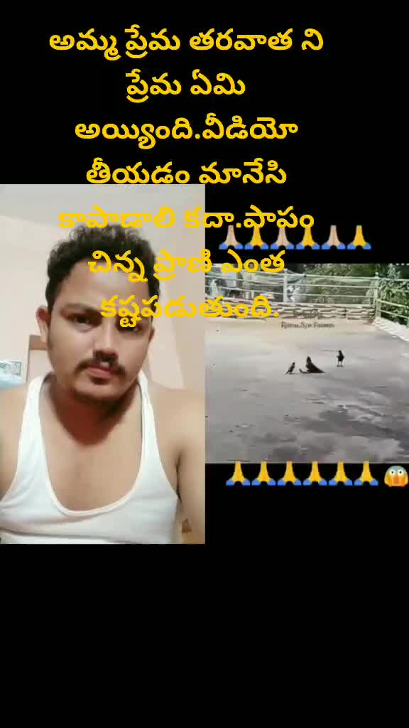 @Dhana Rojayi