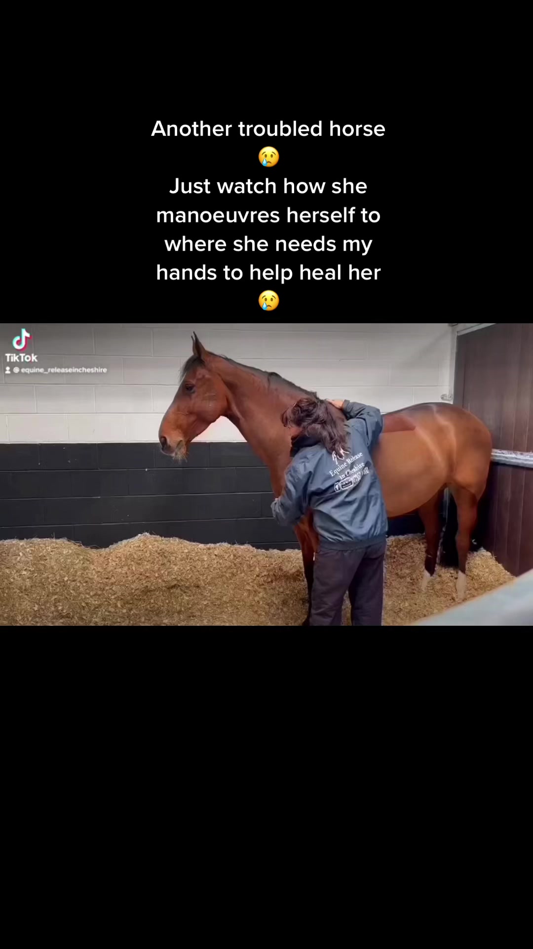 @Equine Release