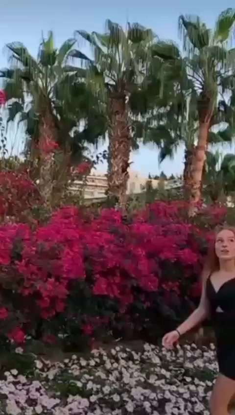 @leoobalys