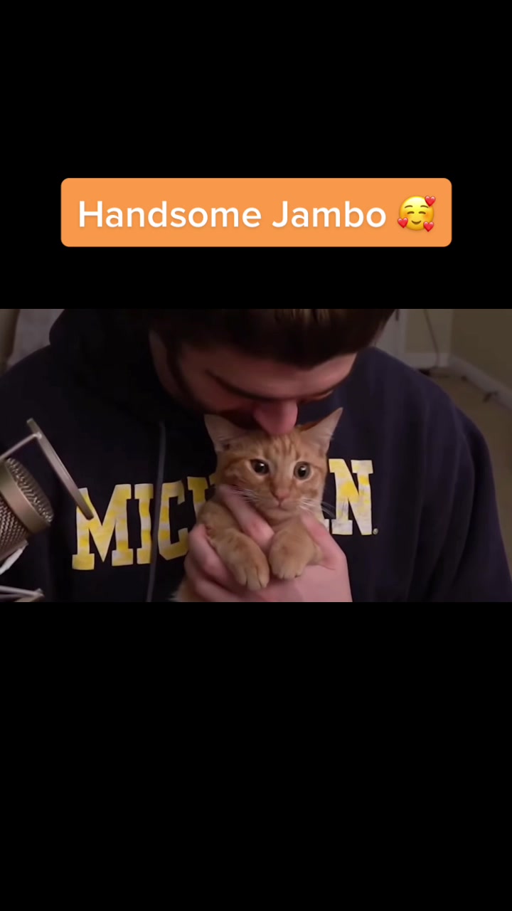 @Jasmine