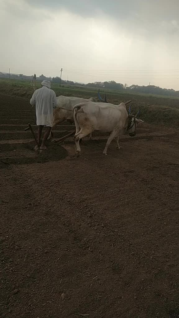 @Roshan Bodke